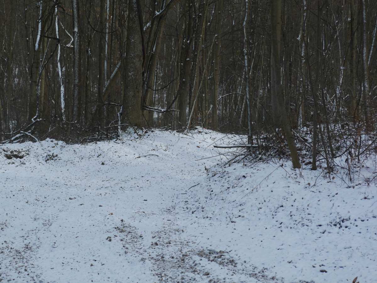 Trail 14 photo 2