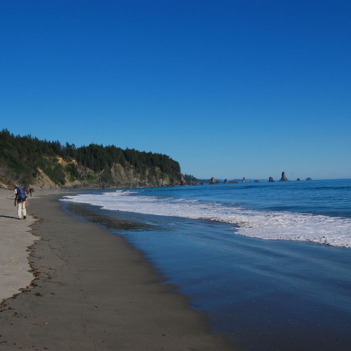 Near Third Beach Trail