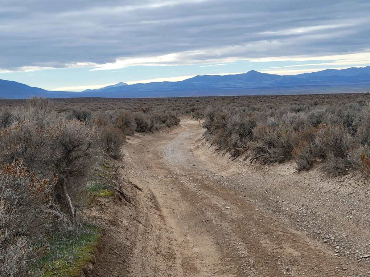 Long Haul photo 5