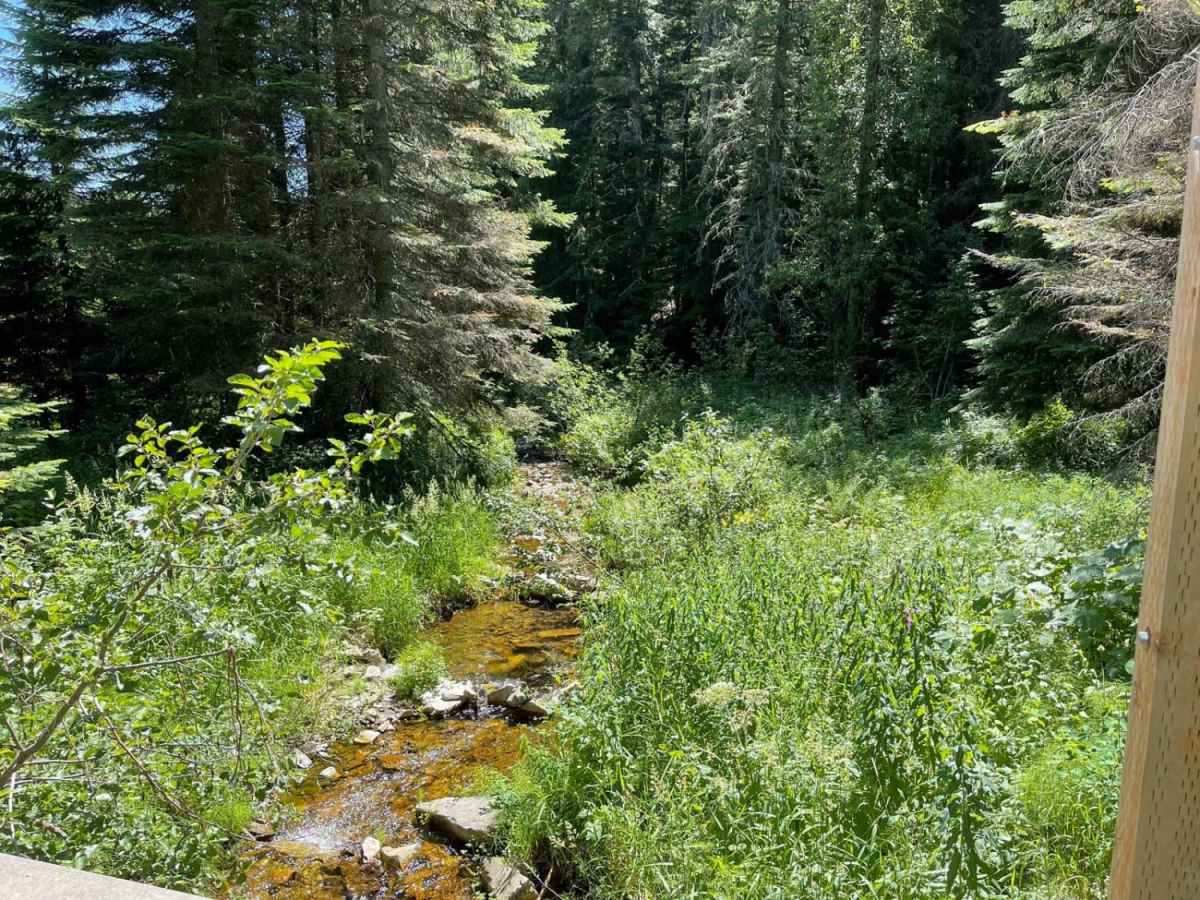 Railroad Grade photo 4