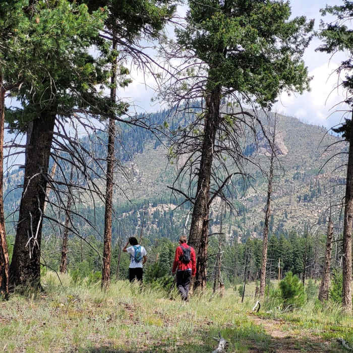 Near Thunder Butte