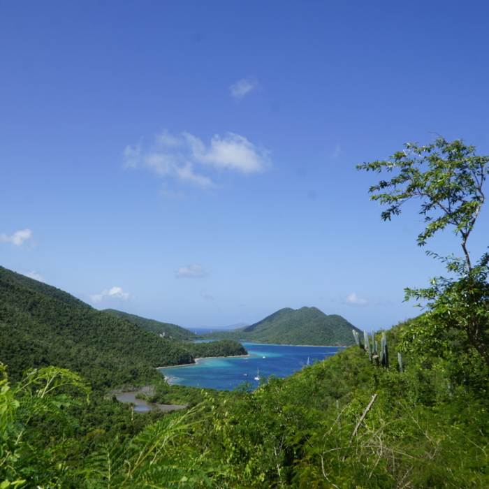 View in to Leinster Bay. Near St. John Trail Tour