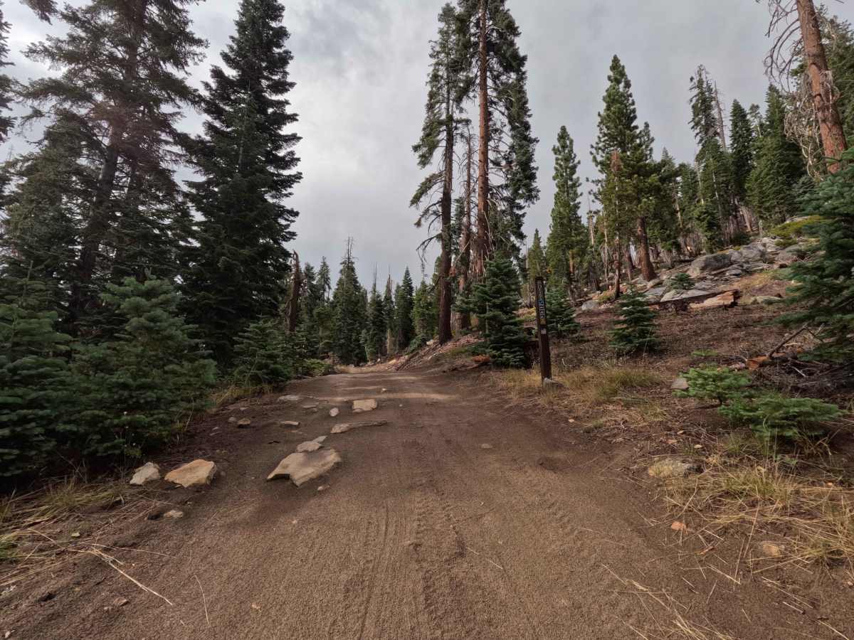 Red Top - FS 22E205 trail photo