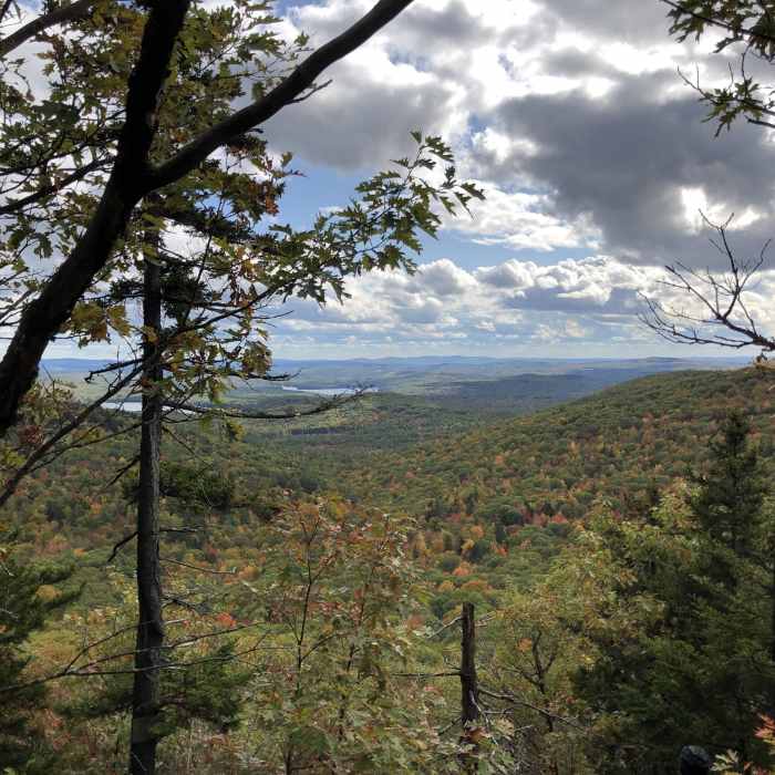 A viewpoint just a short distance away from the Mount Rand Summit Near Dave Roberts Quarry Trail