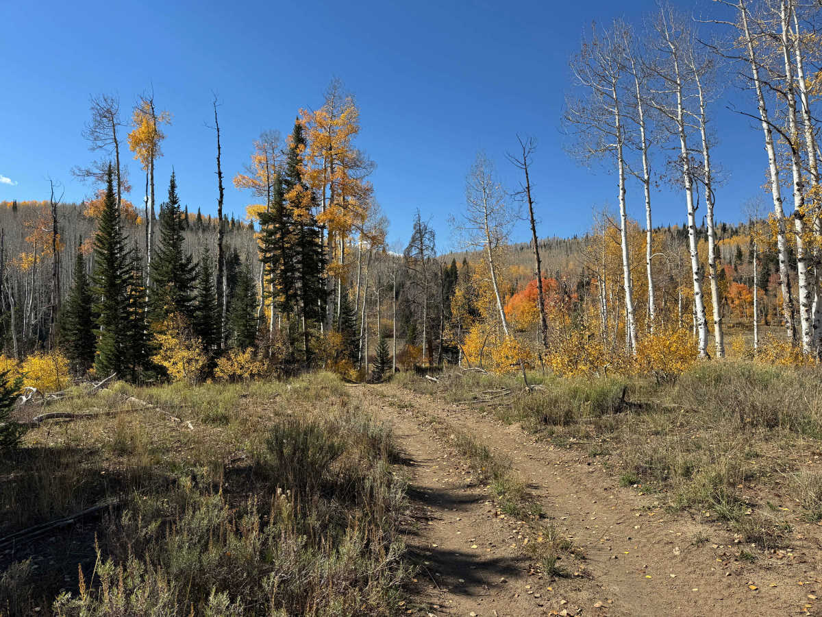 Crane Park Trail photo 5