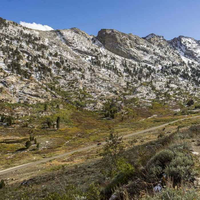 Near Island Lake Trail Near Island Lake Trail