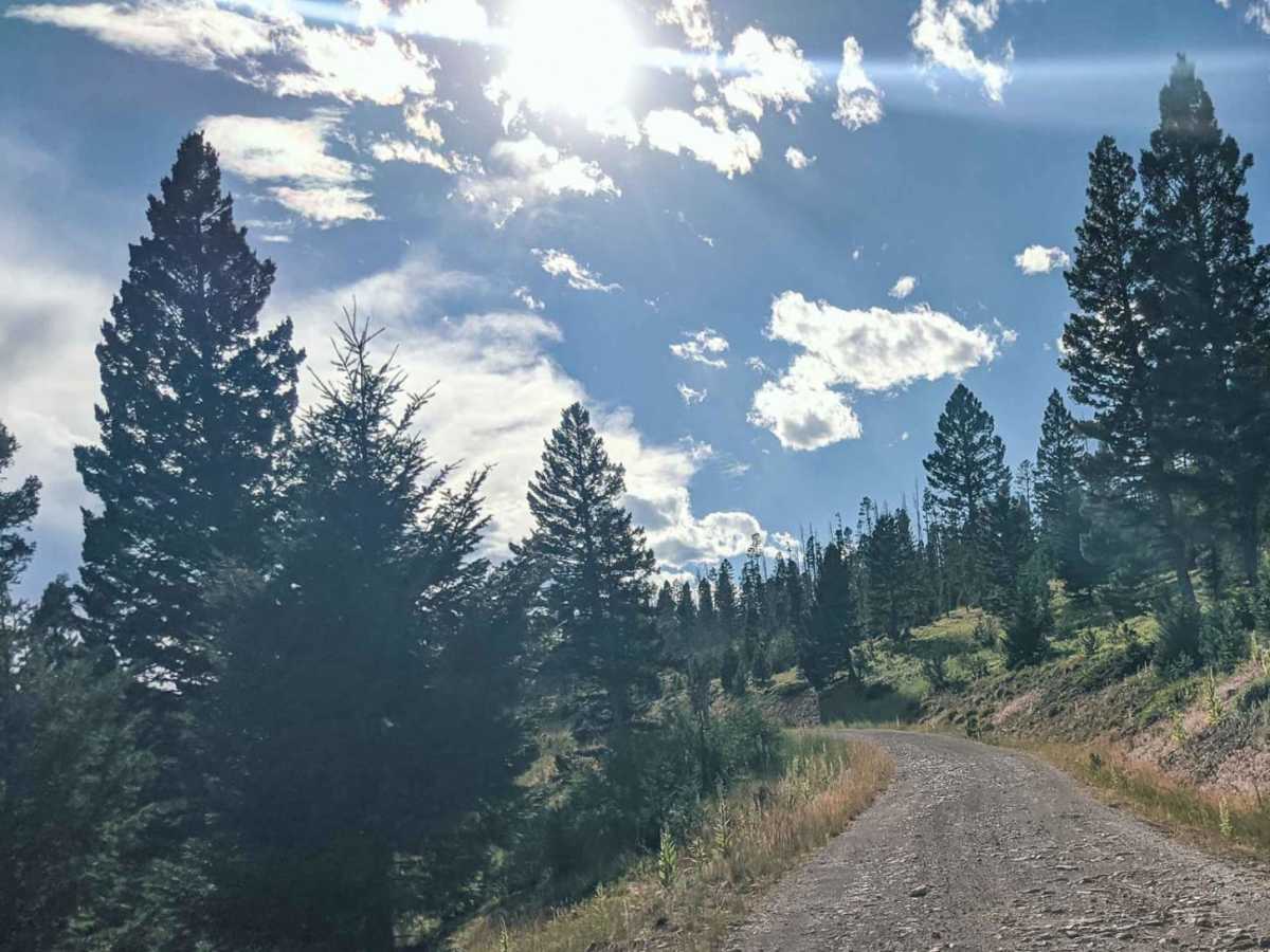 Elliston Spotted Dog trail photo