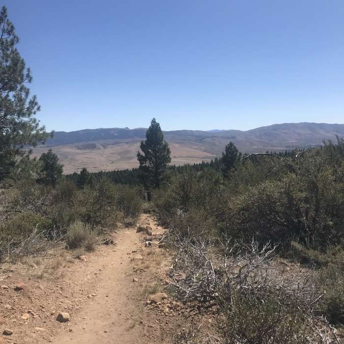 Near Browns Creek Trail