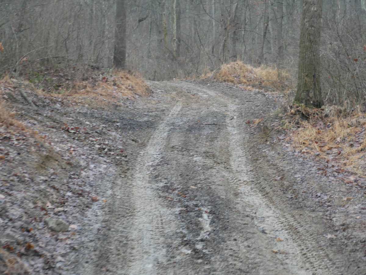 Trail 49 photo 4