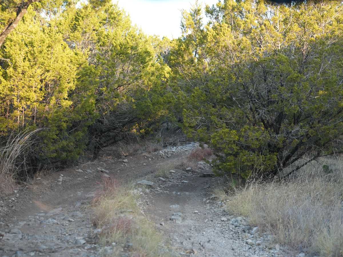 Blue 47 photo 2