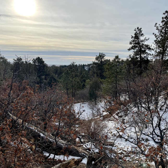 Near Kinnickinnick Trail
