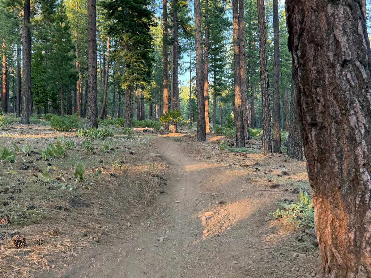 Beaver Tail Trail (Lower) photo 5