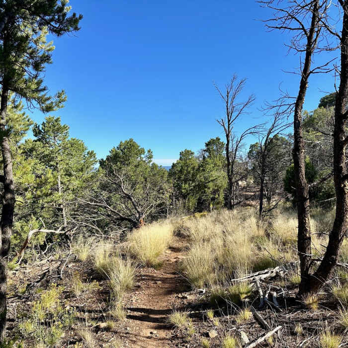 Near Buttermilk Loop