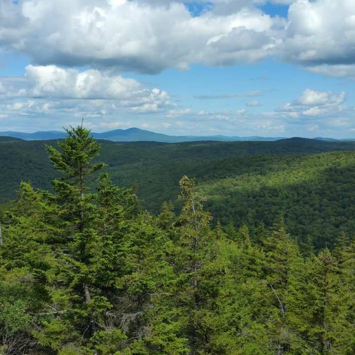 Facing east from the summit Near Green Mountain Trail #424