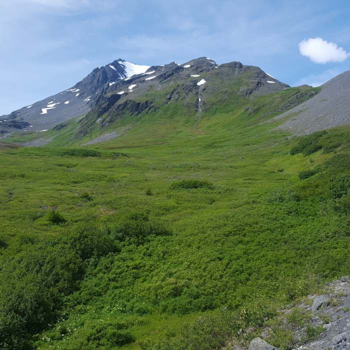 Near Worthington Glacier Ridge Trail