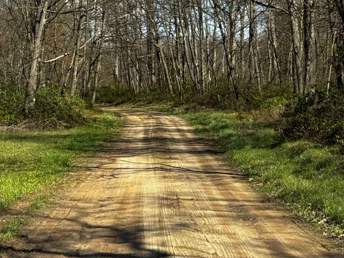Smith Road photo 4
