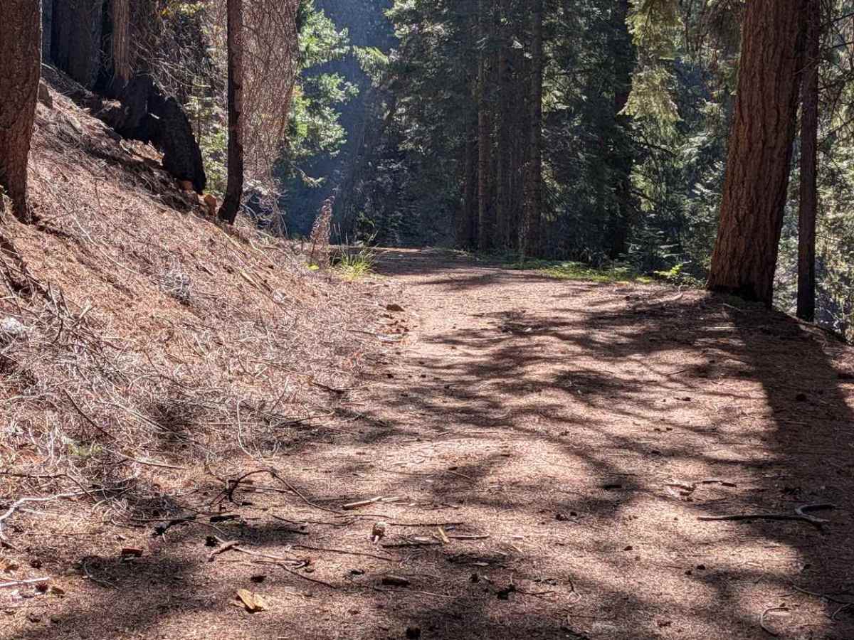 Eagle Rock Road - FS 4N11 photo 5