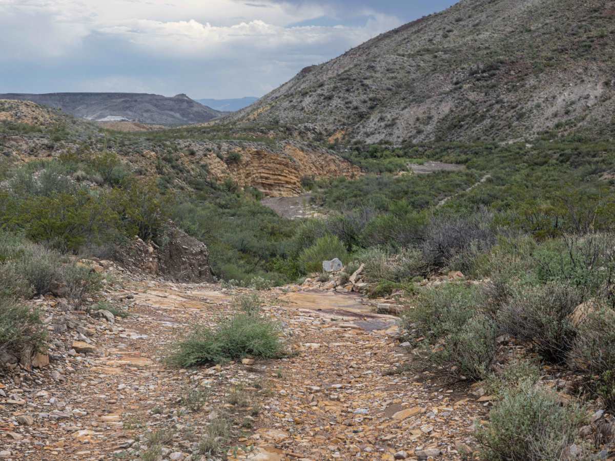 BBRSP Fresno Canyon Rd. photo 5