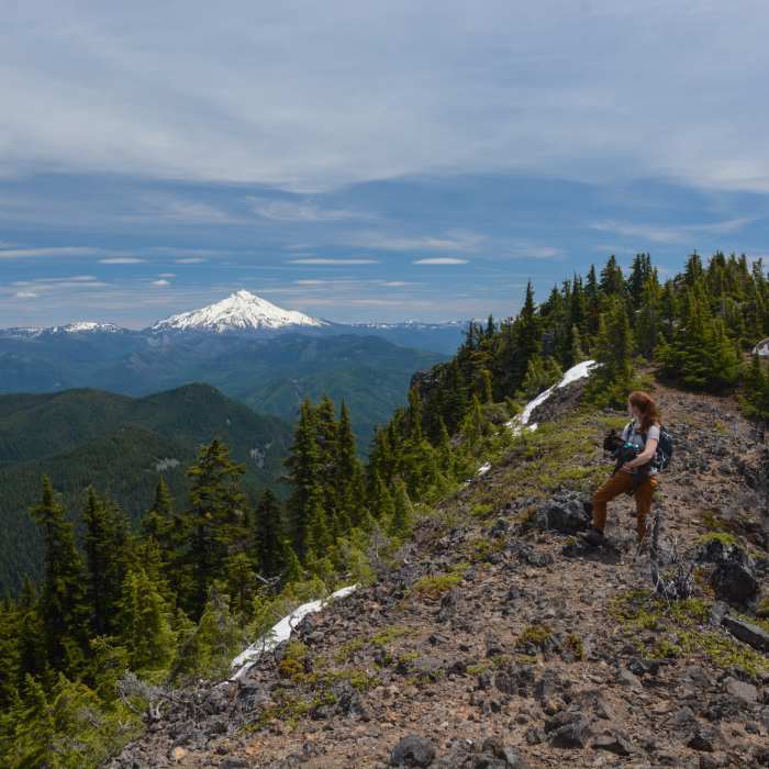Near Battle Ax Mountain Loop