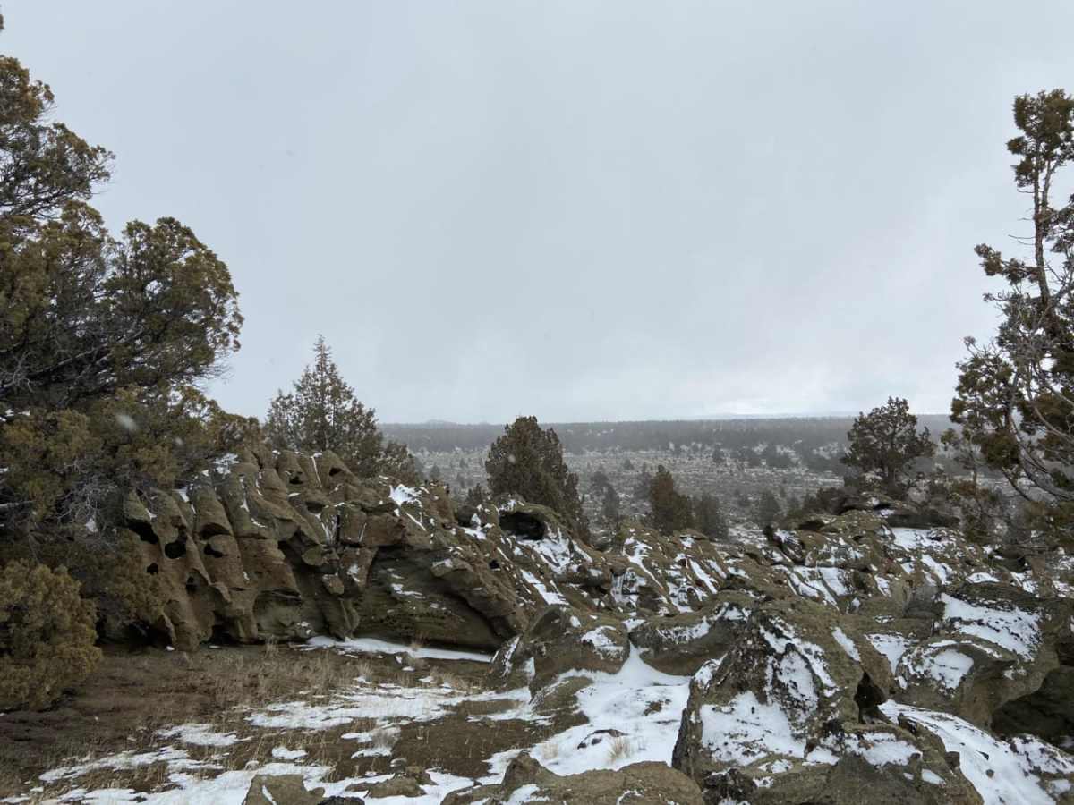 Reed Rock photo 6
