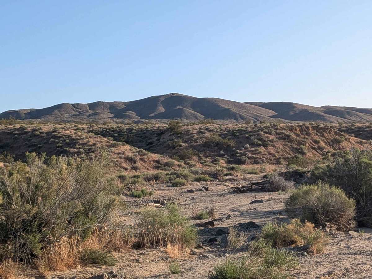 Bickel Camp - BLM EP30 photo 5