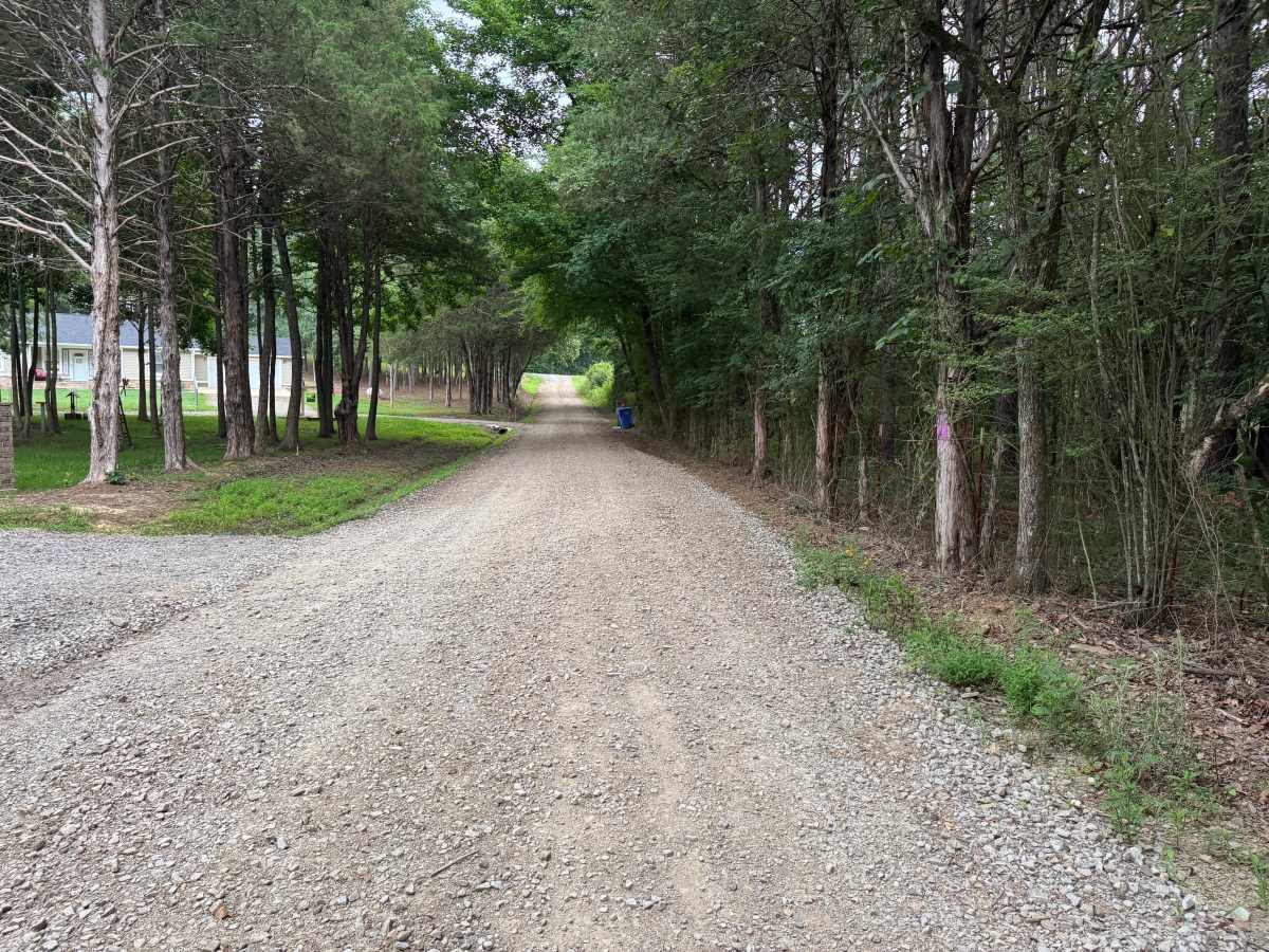County Road 3339 photo 5