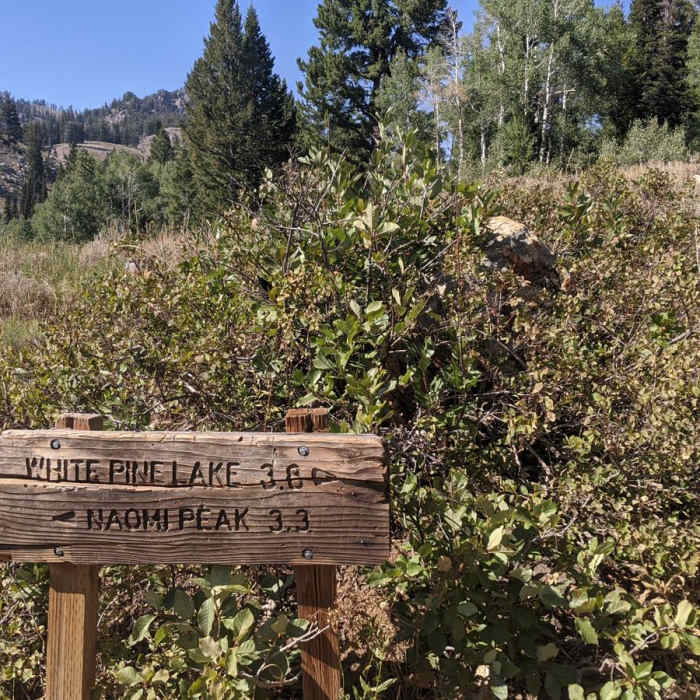 Near White Pine Lake Trail