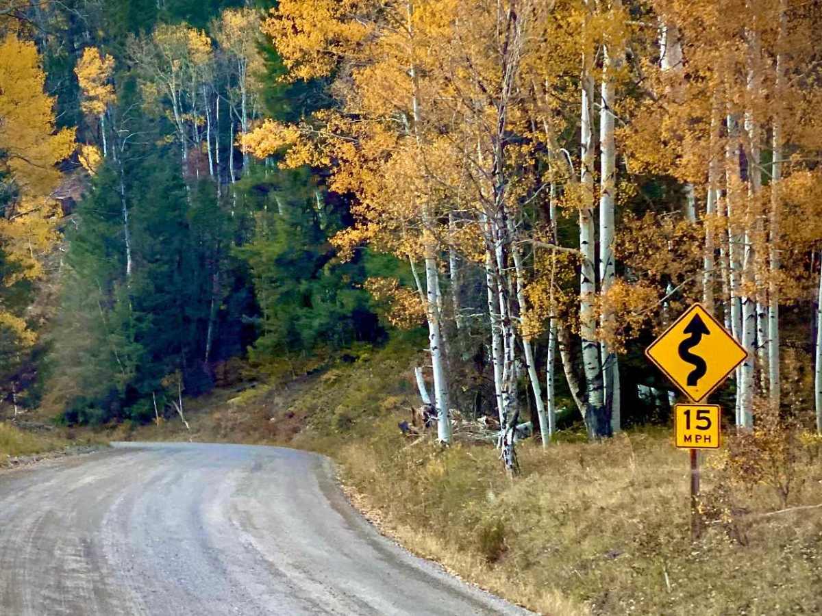 South Fork Ilium Road photo 3