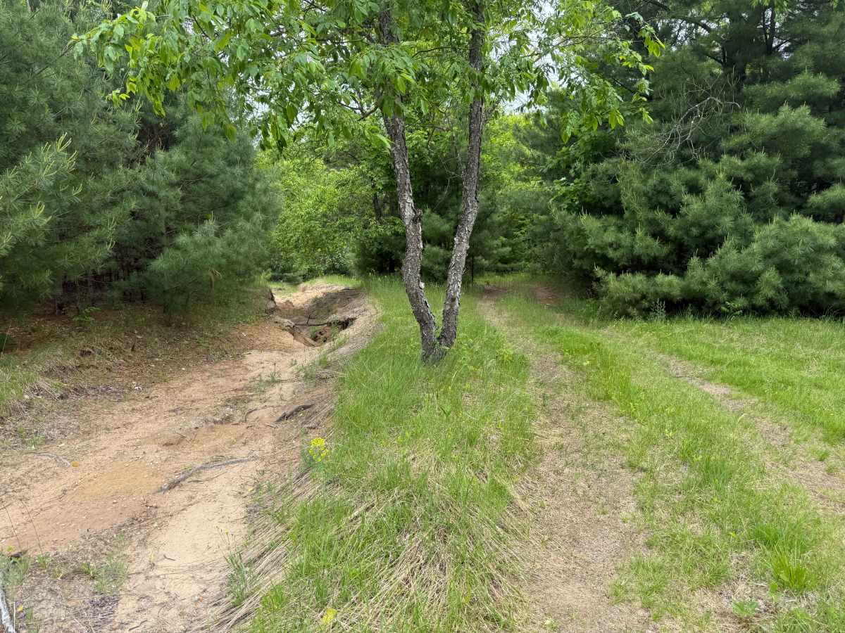 South 72 Trail photo 4