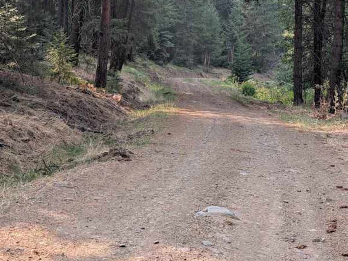 High Creek Road photo 5