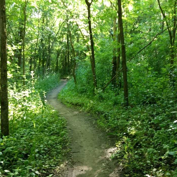 Near Lake Rebecca Dirt Loop