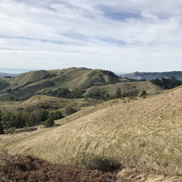 Near Alder Spring Trail