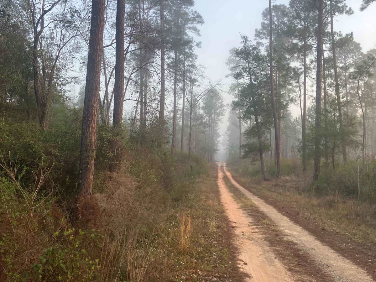 C185 trail photo