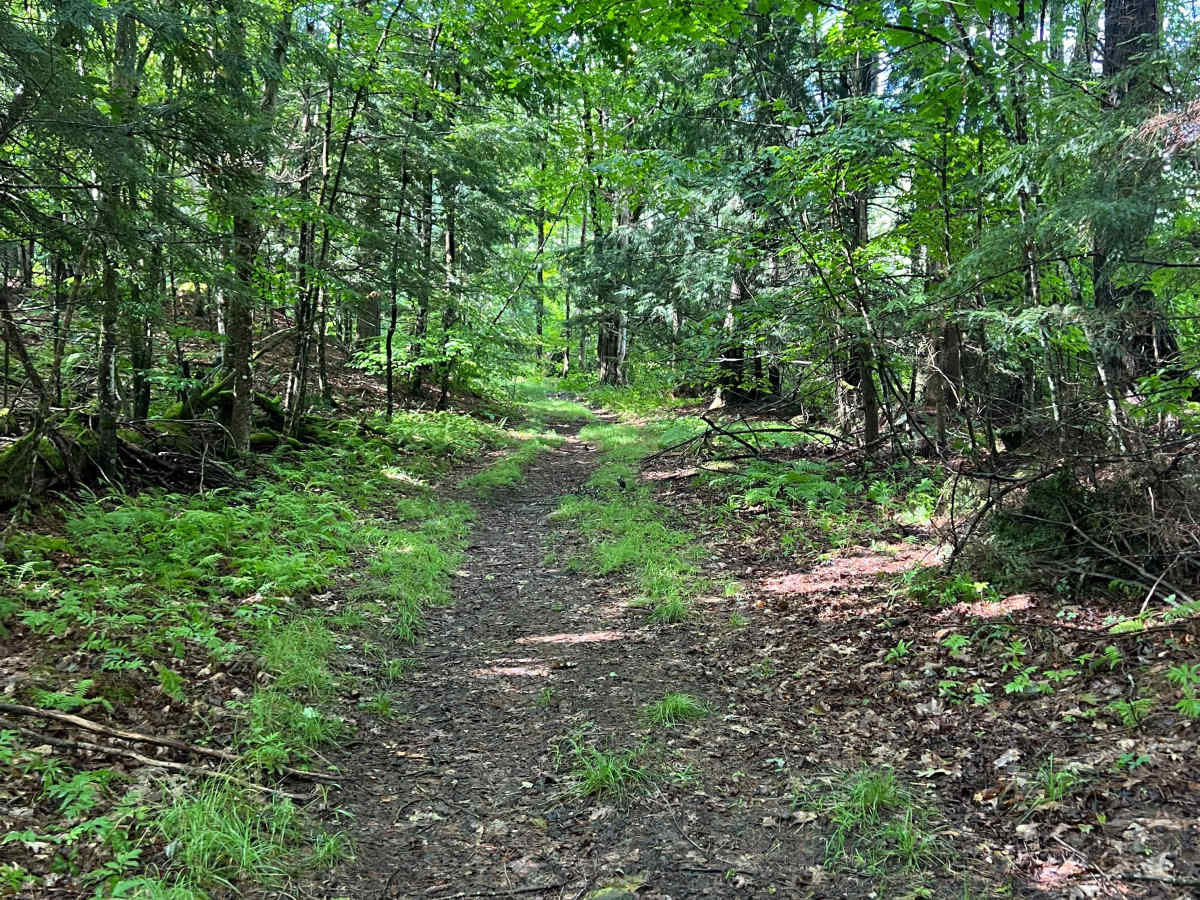 Porter Road photo 3