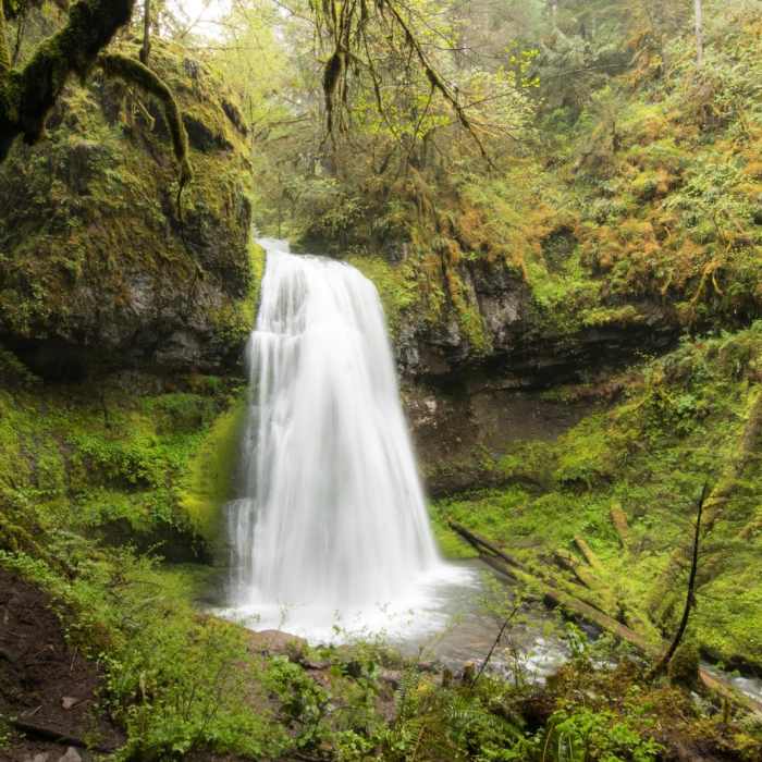 Near Spirit Falls on Alex Creek