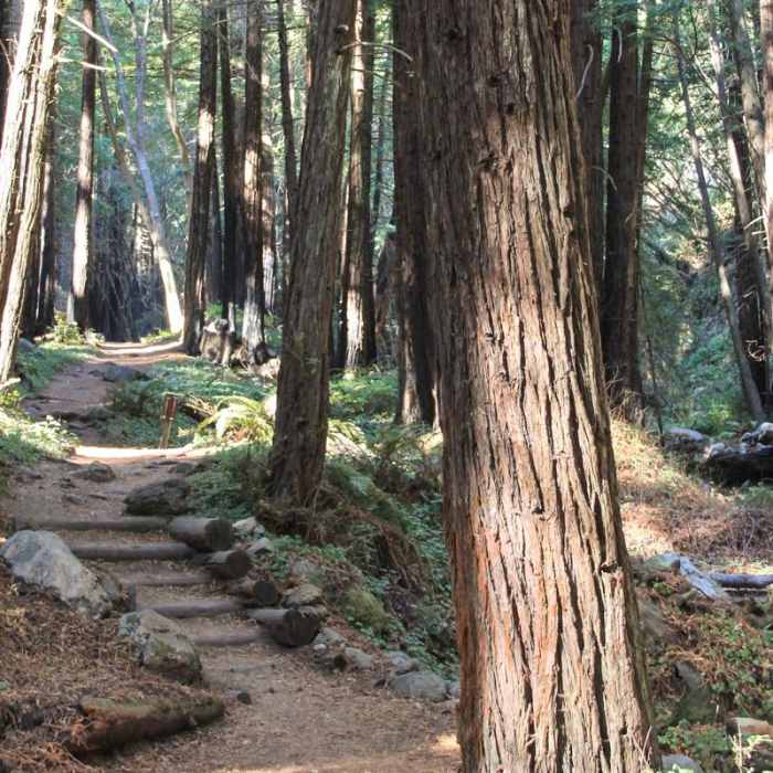 Near Limekiln Trail Near Limekiln Trail