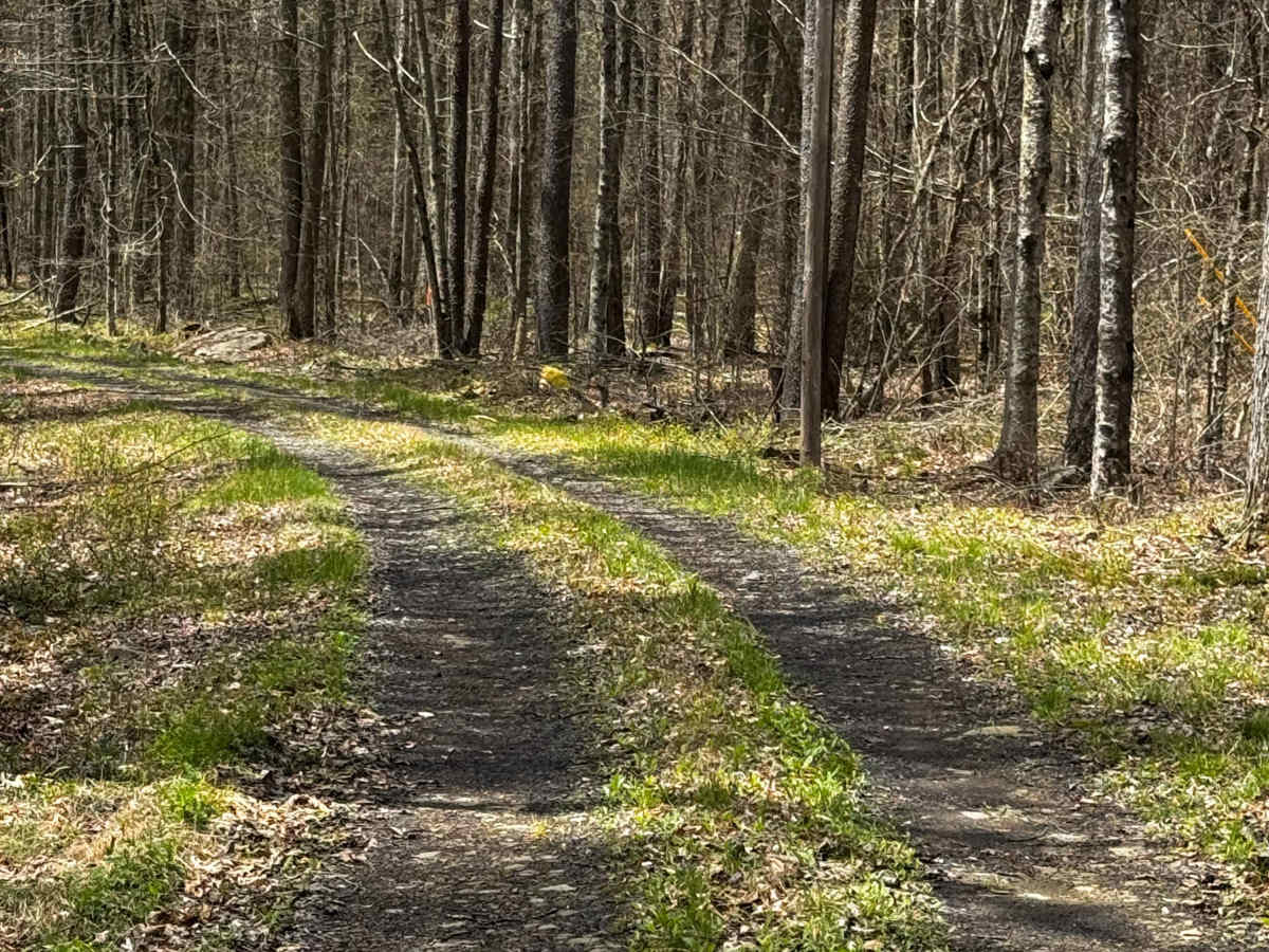 Grade Road photo 6
