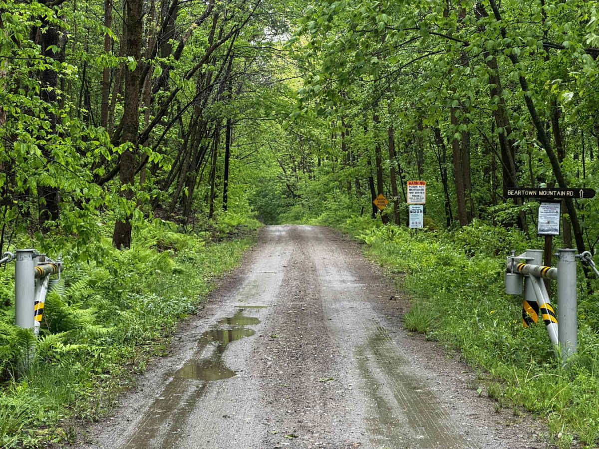 Beartown Mountain Road photo 6