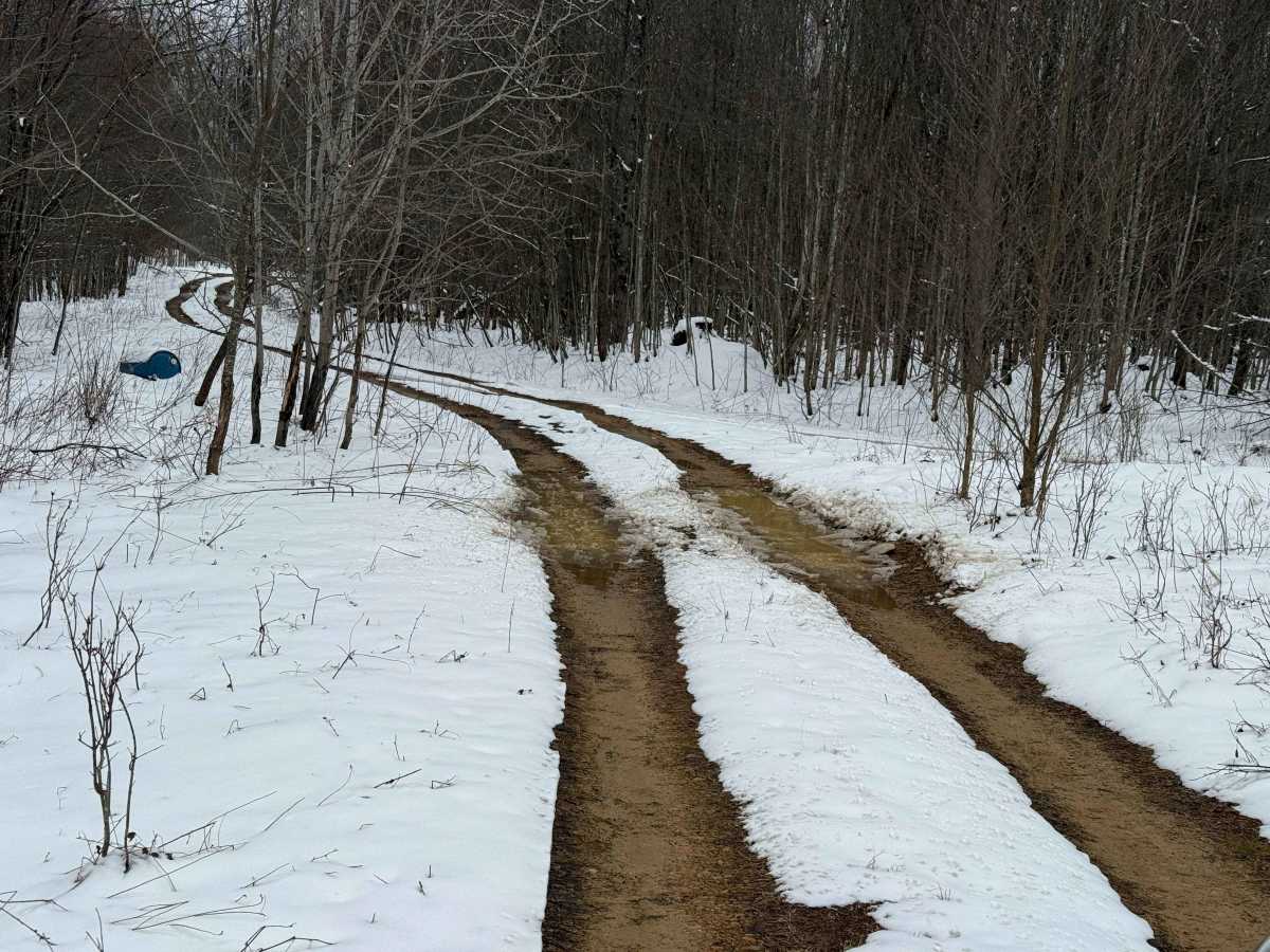 Libby - FS 455 trail photo