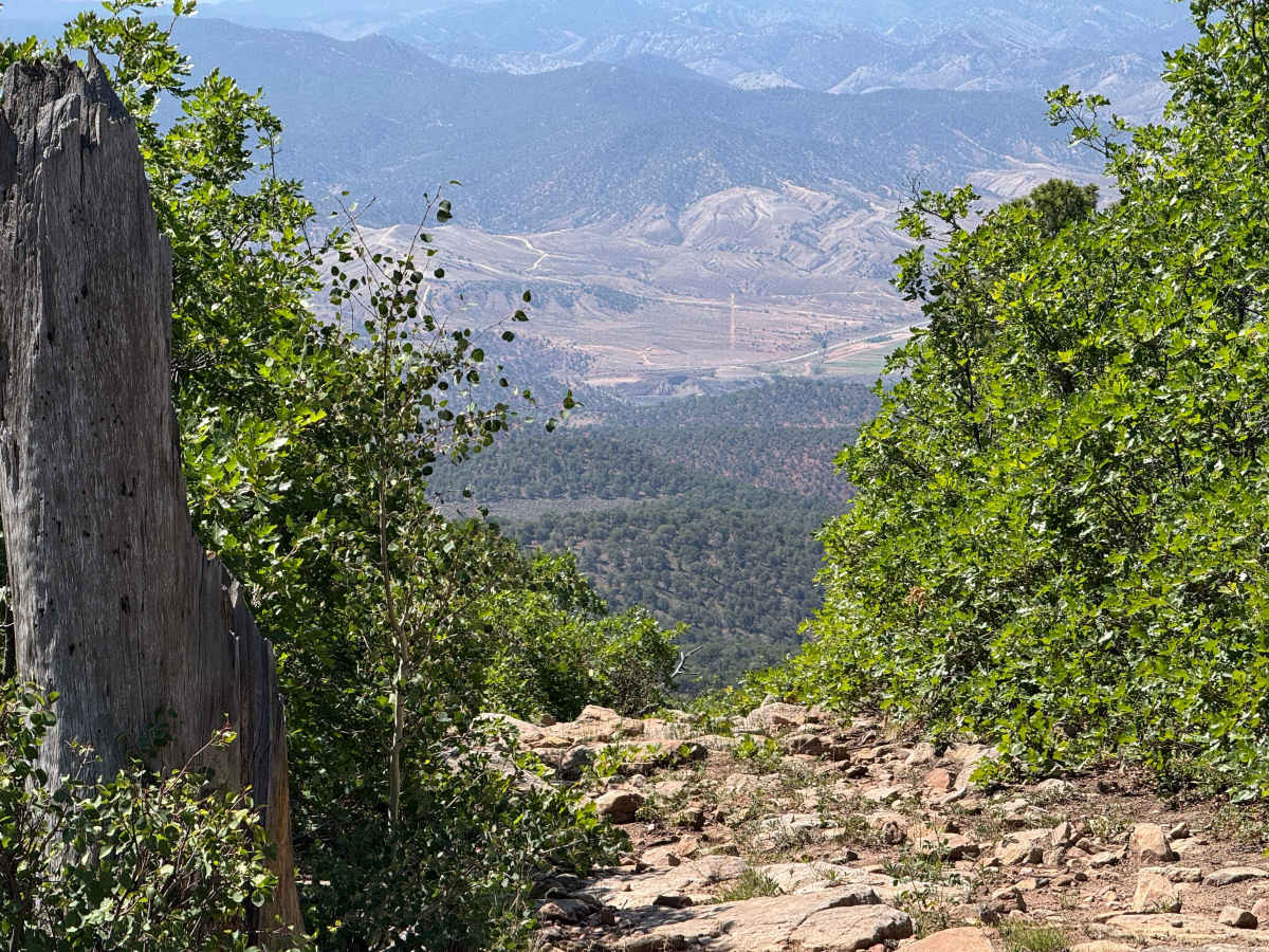 BLM 6112B trail photo