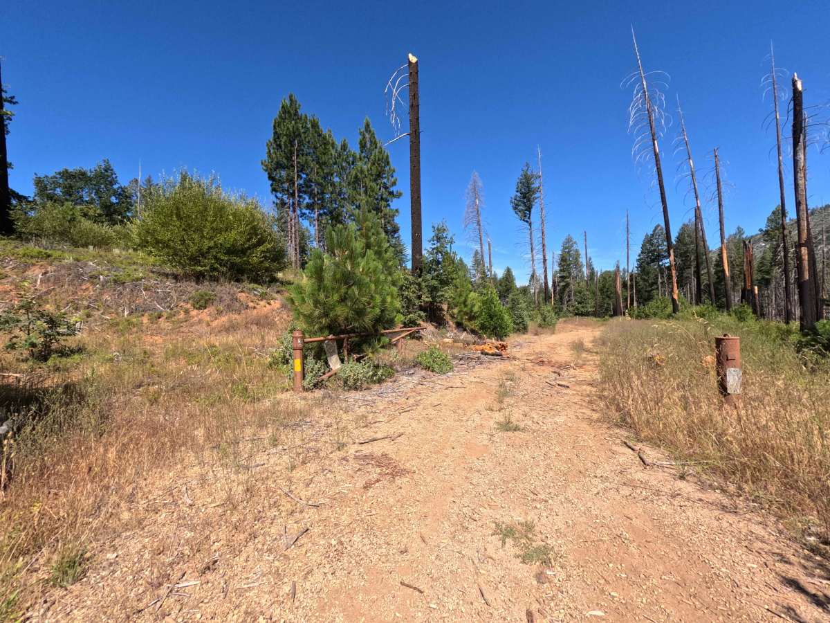 FS 1S71 trail photo