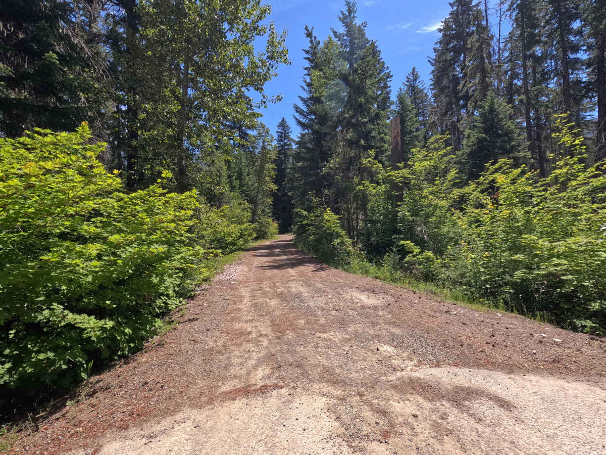 Howson Creek - FS 4300128 trail photo