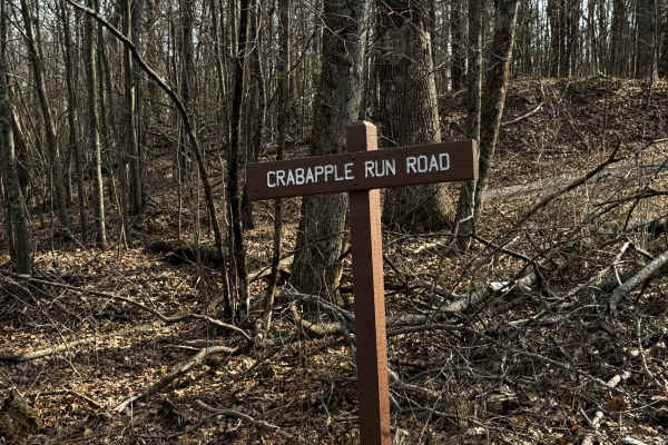 Crabapple Run Road