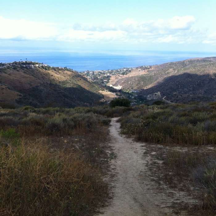 Near West Ridge Trail