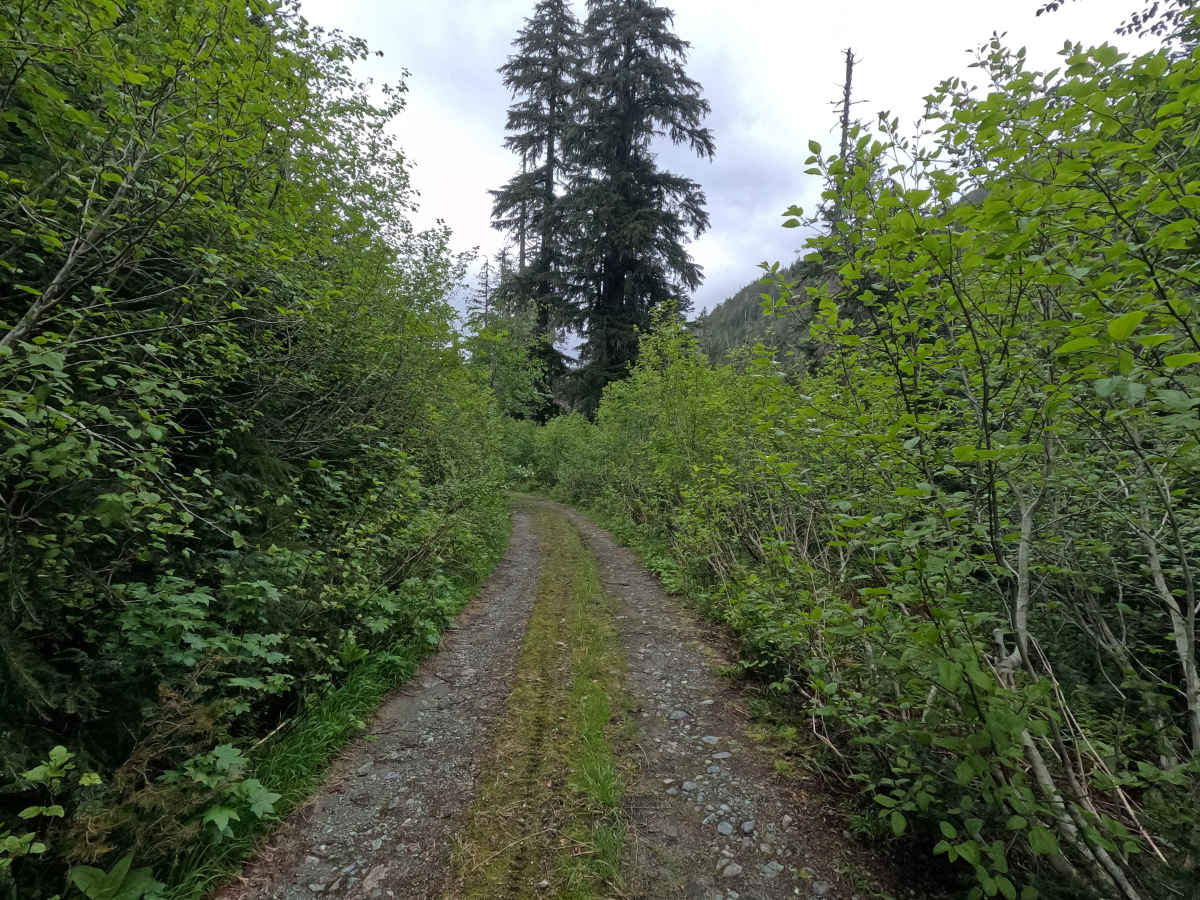 Hawkins Lake - FS 1840 photo 3
