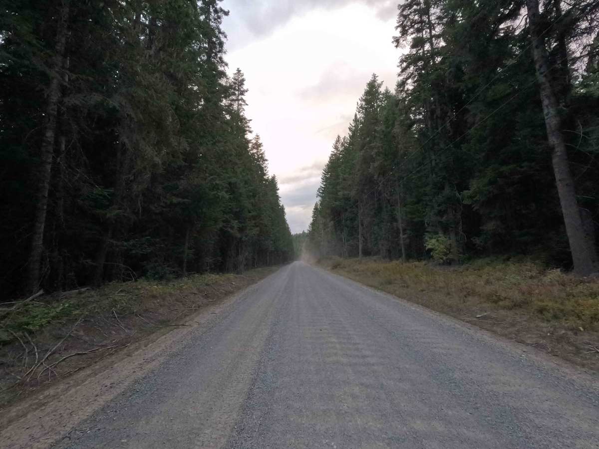 Kings Lake Road - FS 50 photo 3