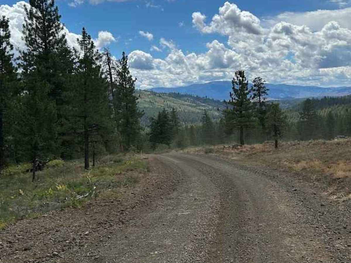 Lick Creek - FS 50143 trail photo