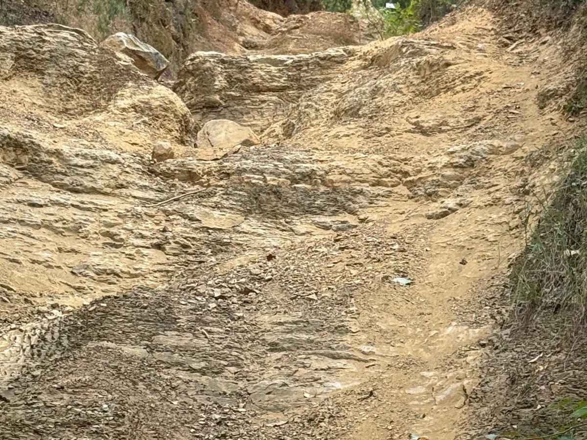 Three Kings trail photo