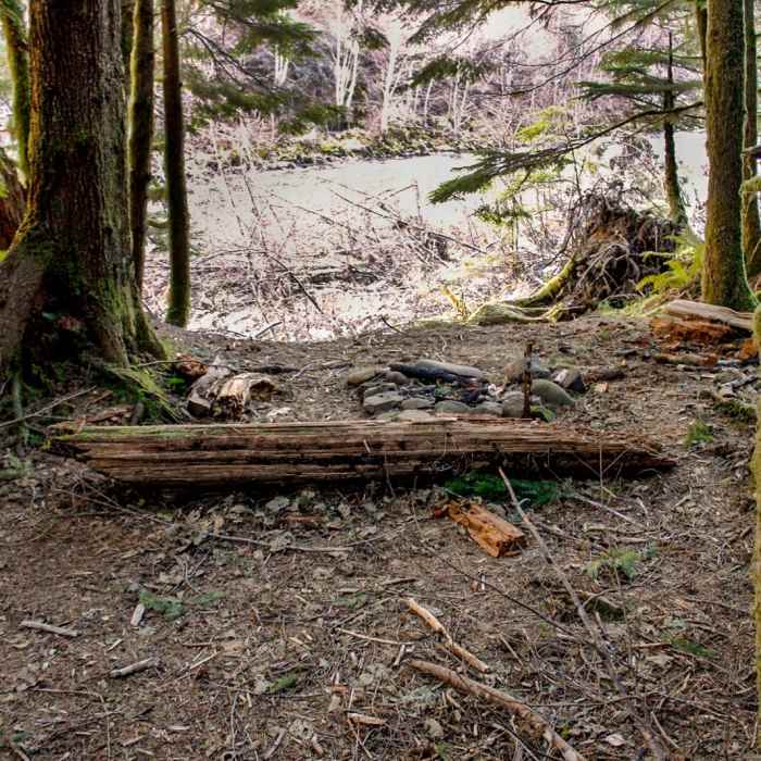 Near Clackamas River Trail