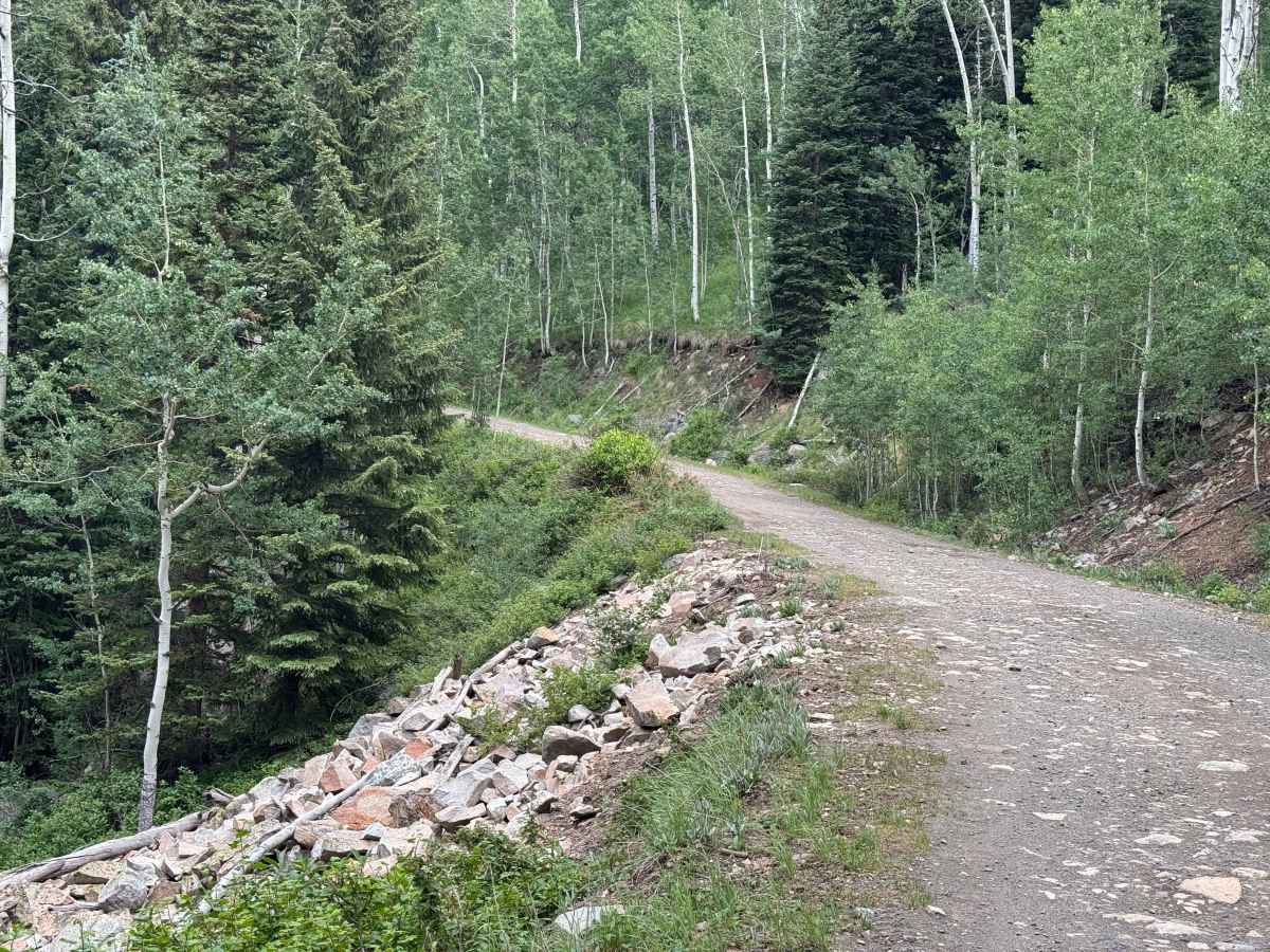 Nolan Creek Road - FS 418 photo 4